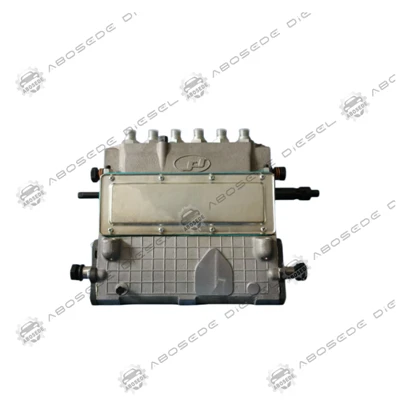 Flusso progettato: pompa del carburante diesel 12V190 come cuore pulsante dell'erogazione a bassa-pressione